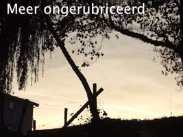 meer ongerubriceerd